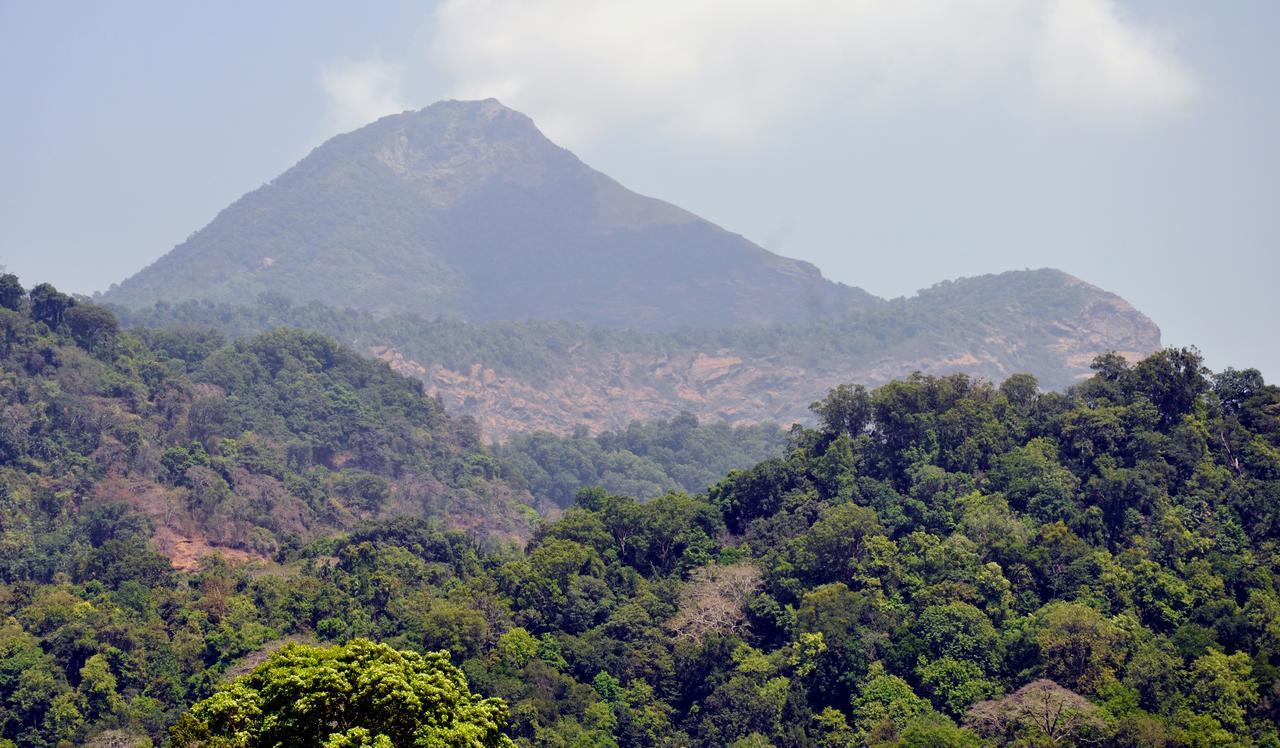 Jyothis Residency Hotel Kolluru Esterno foto